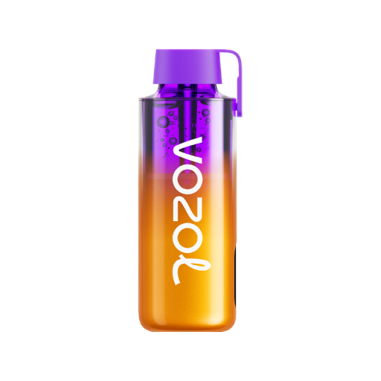 Vozol Neon 10000 Mixed Berries Disposable Vape Bar